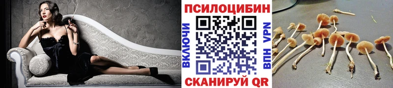цены   Лениногорск  кракен ССЫЛКА  Галлюциногенные грибы GOLDEN TEACHER 